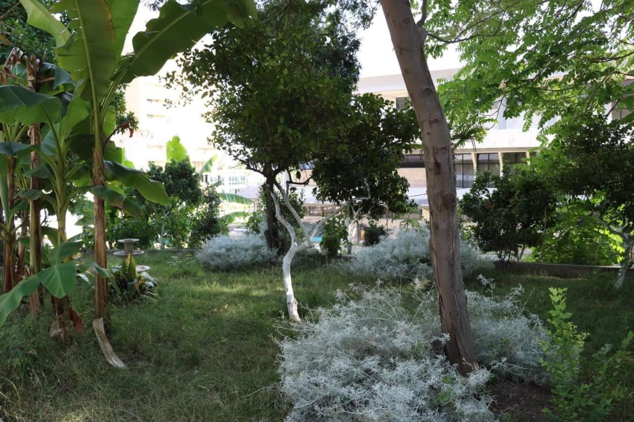 Hotel Ceka دراس المظهر الخارجي الصورة